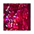 Product image 109